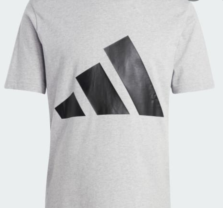 T-Shirt 100% cotone grigia