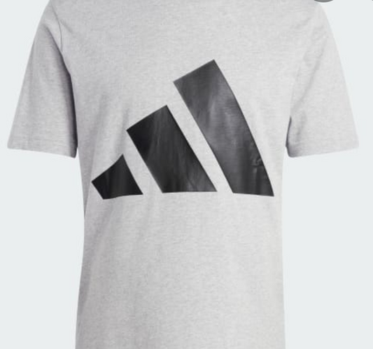 T-Shirt 100% cotone grigia